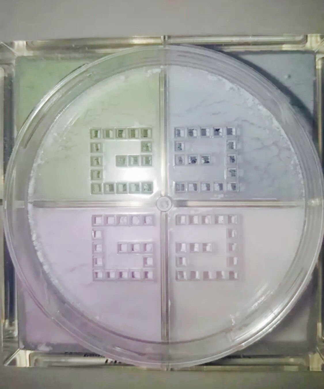 新春打卡第九章  纪梵希(Givenchy)是来自法国的时装