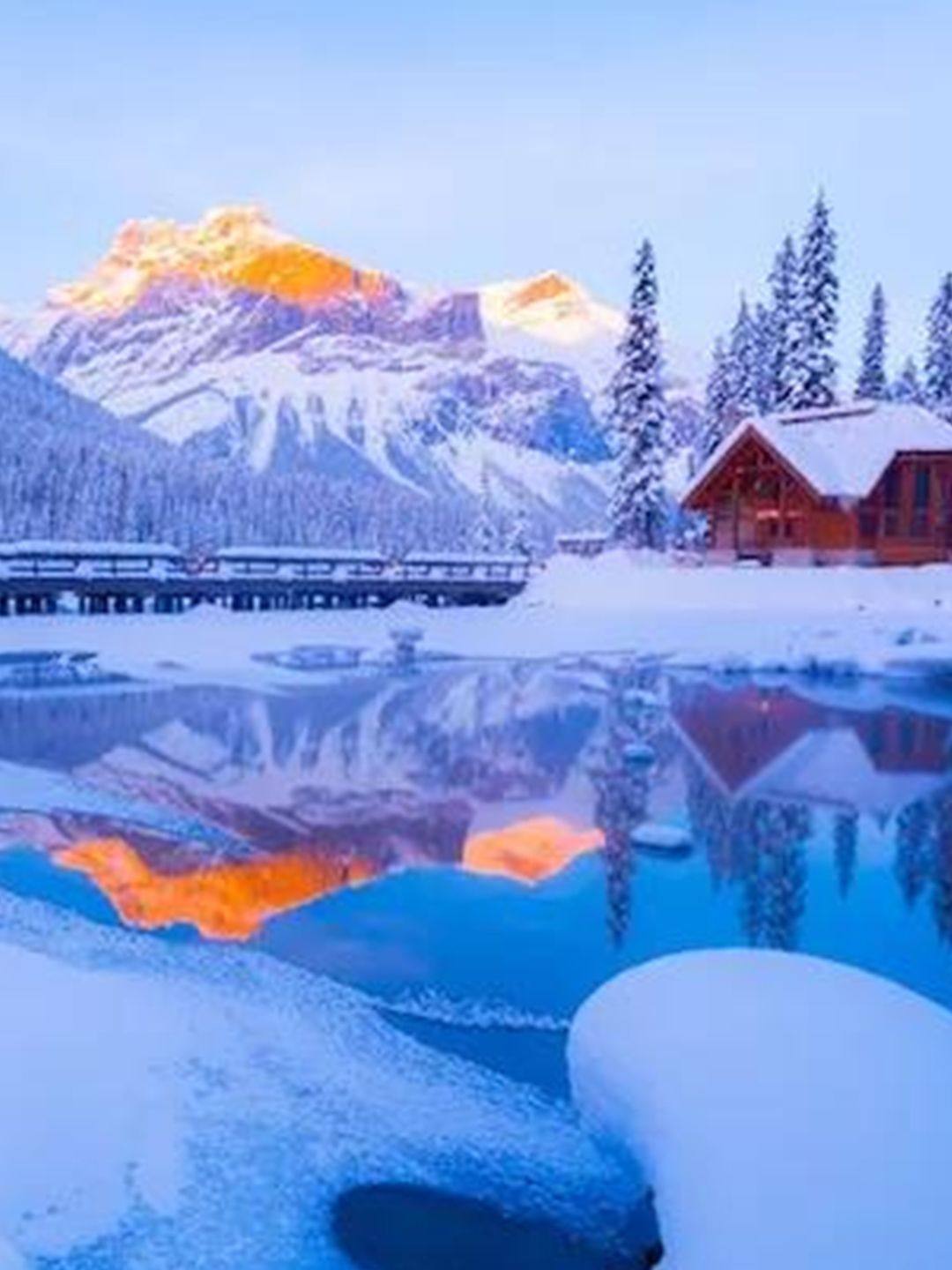 加拿大📍2020全新 入境流程🔥保姆级攻略包   🌟行