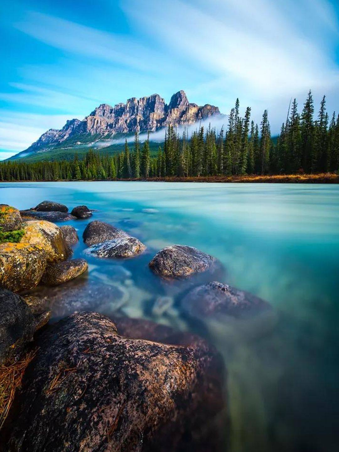 加拿大📍2020全新 入境流程🔥保姆级攻略包   🌟行