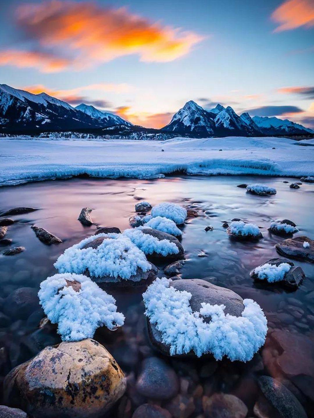 加拿大📍2020全新 入境流程🔥保姆级攻略包   🌟行