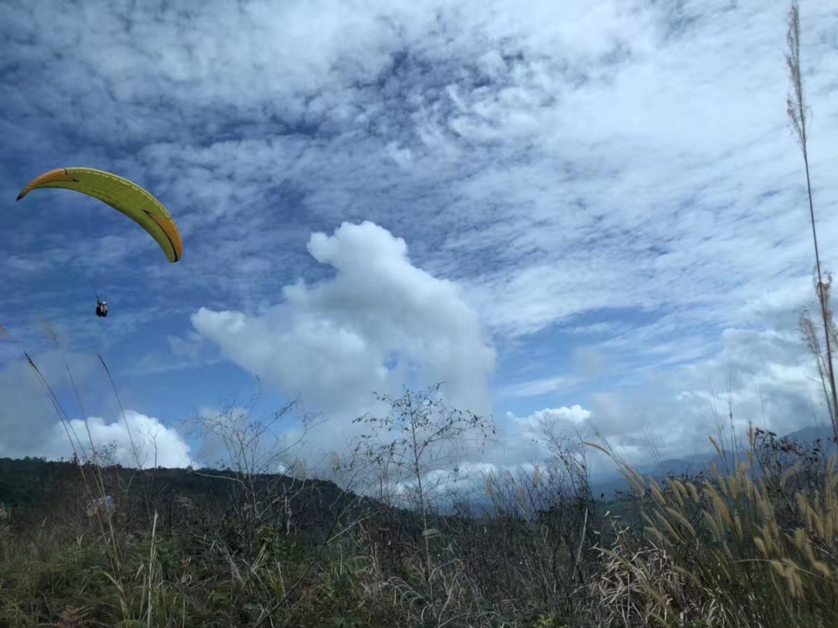 上山下海 ，你需要的不止一个🍇这款资生堂蓝胖子是之前在lo