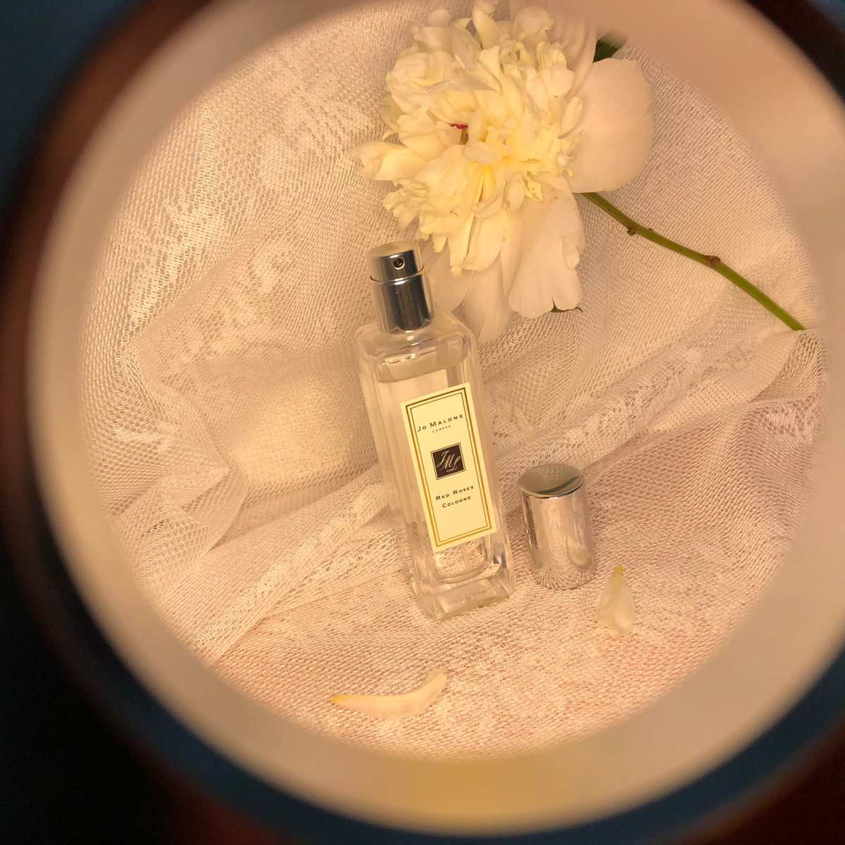 Ｊｏ Ｍａｌｏｎｅ Red Roses  祖玛珑的红玫瑰是我