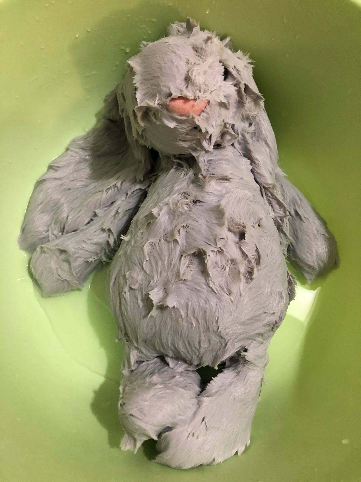 美国75折买jellycat，由转运四方运回13天收货  邦