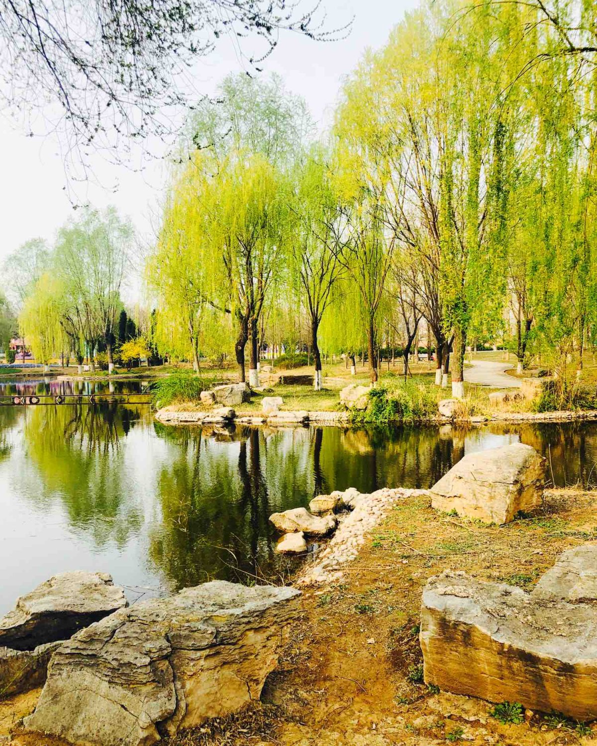 跟紧春的脚步👣    疫情在家呆了好久，终于🈶️机会走出