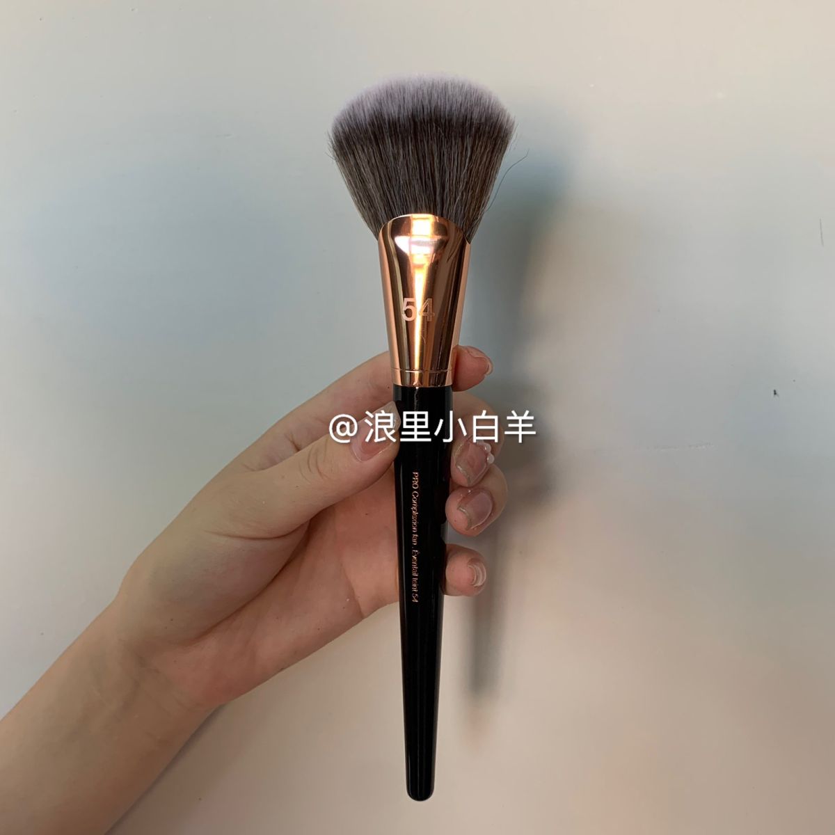 丝芙兰专业级化妆刷套装pro，之前打折的时候买的 带超级大的