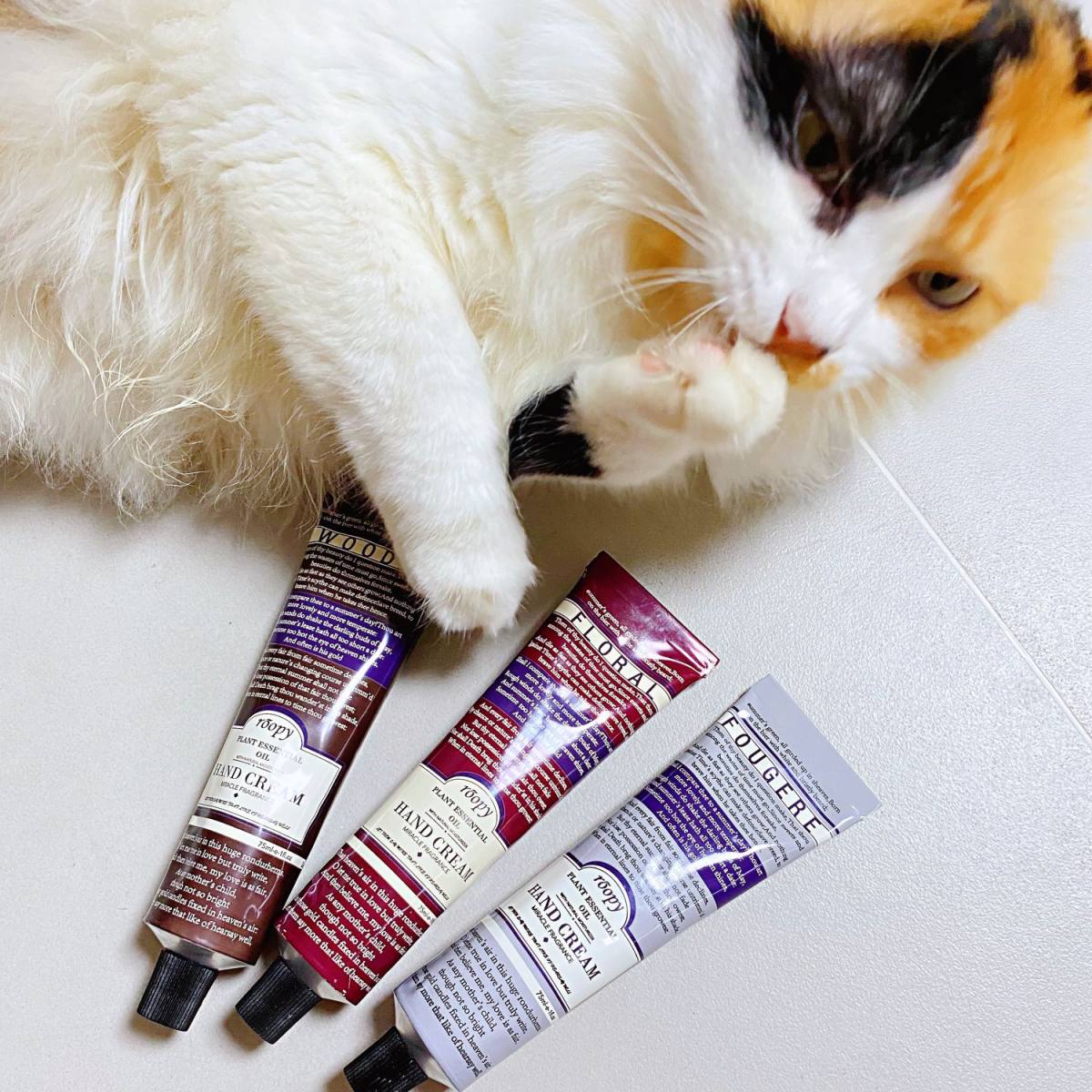 最近新入了一支护手霜，有点小意外的好用，赶快来分享给大家。 