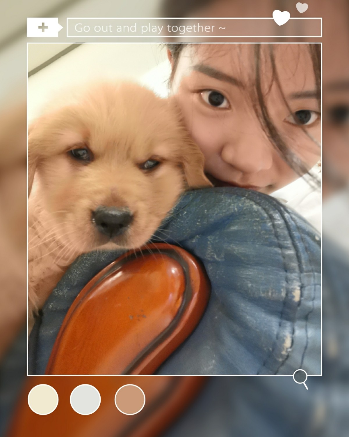 #秀萌宠#我家新成员，“乖乖”小可爱来啦！ 💡上次在宠物店