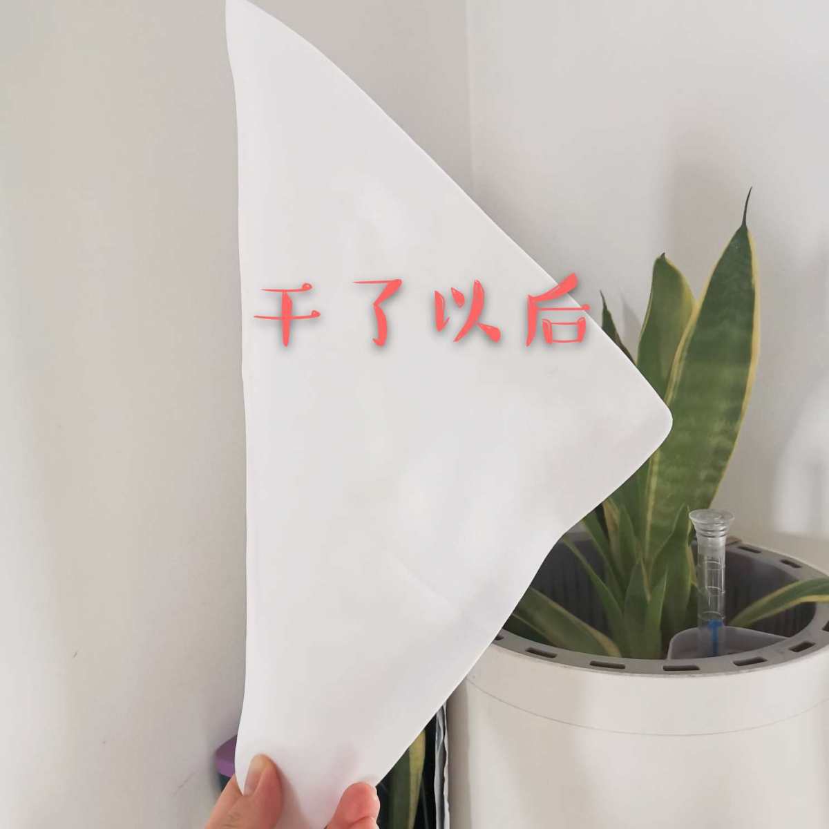 YY空罐裂：suqqu按摩膏！ 我看坛子里美妆护肤很少晒到按