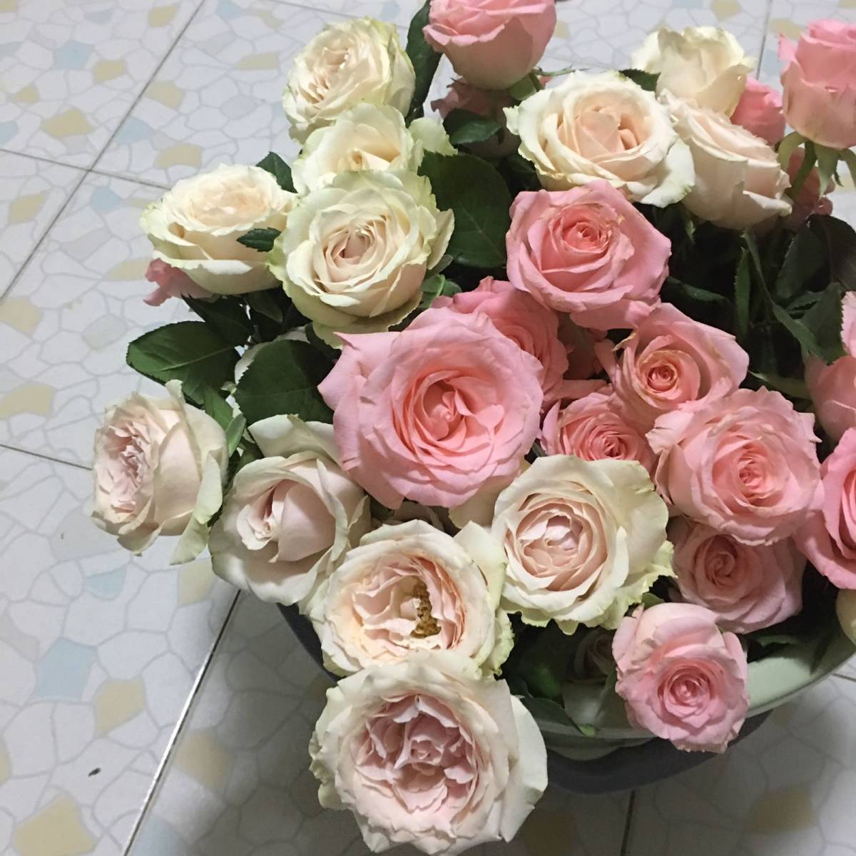 #萌宠秀# 来了来了，我家的两个宝贝。 柴犬弟弟小泡芙，**