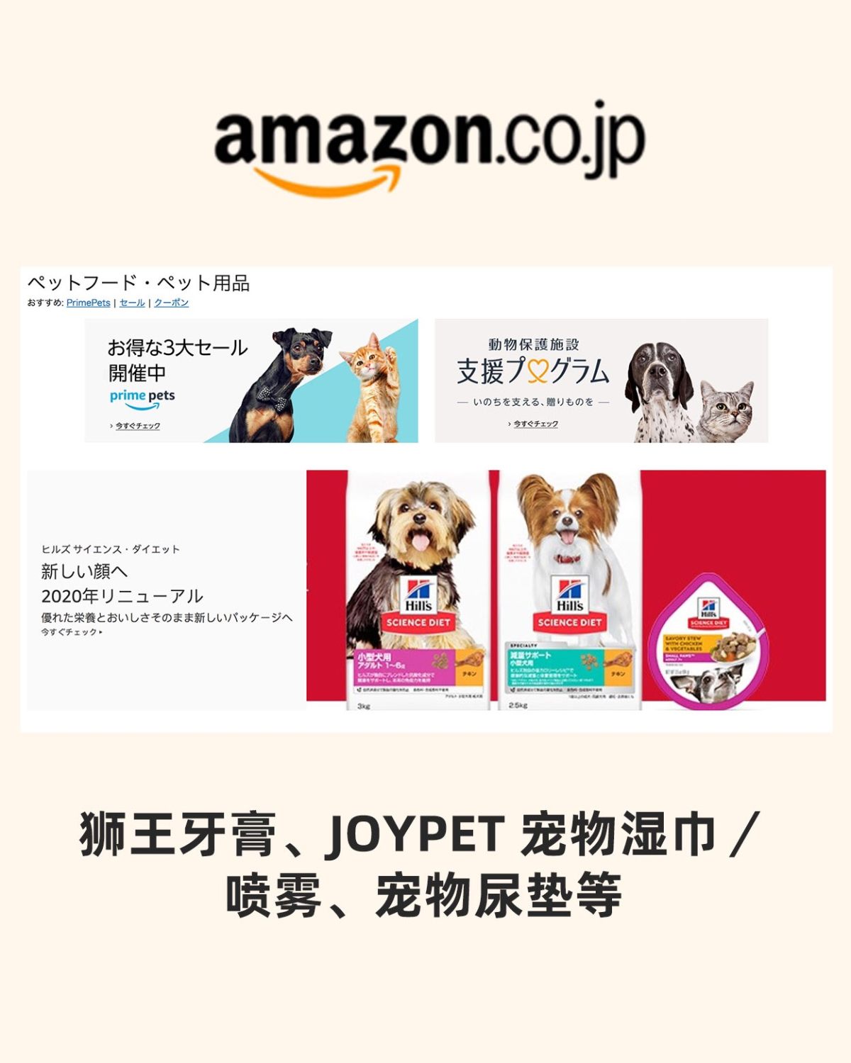 🐶4家海淘宠物用品网站🐱好物🔥  🥕🥕可以给猫孩子