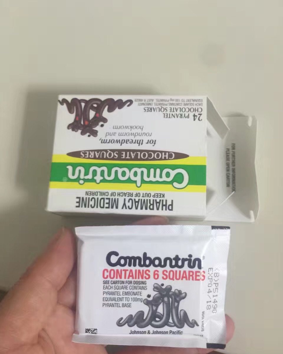 💕小孩和成人都可以食用的打虫巧克力（澳洲combantri