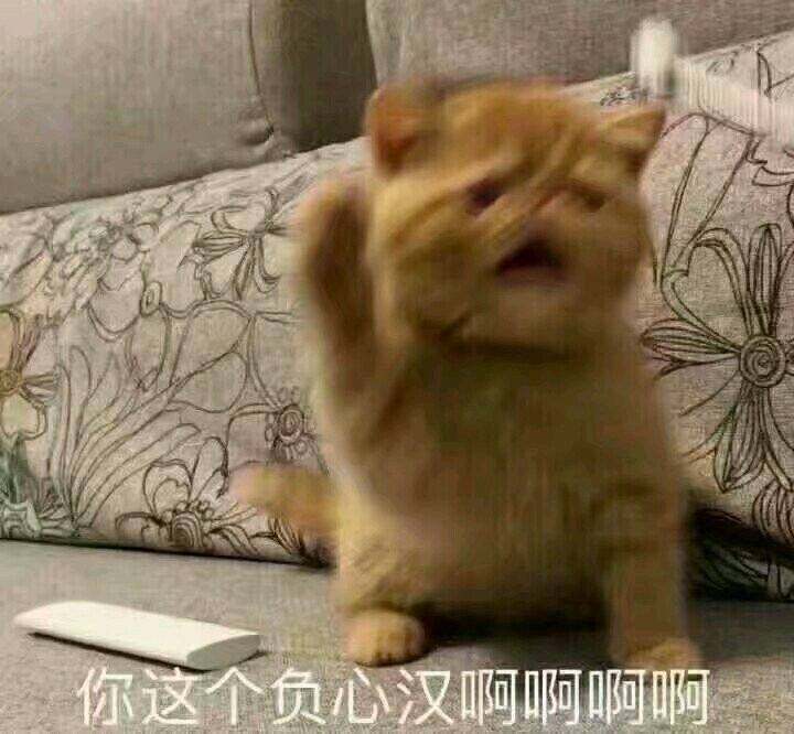 第一次在eastbay买了一件耐克的白t，跟对象一起拼单做情