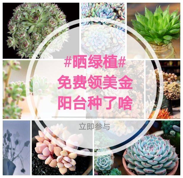 一方山水有一方风情~ 一方花园有一方天地~ 你是否也有过这样