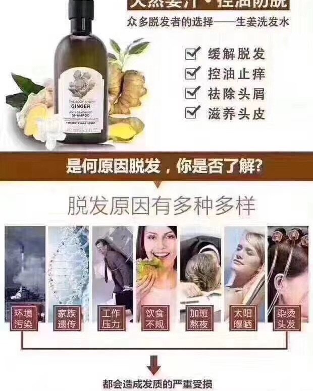 The body shop生姜洗发水/护发素400ml ，三