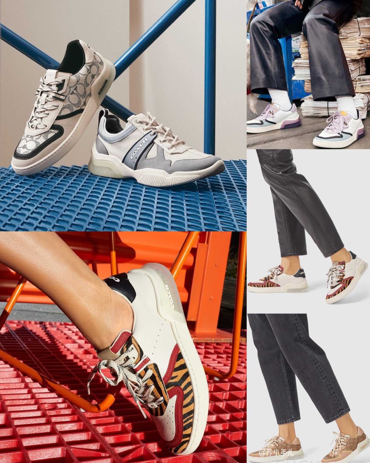coach蔻驰2020年新款运动鞋汇总   ❣️你们的种草王