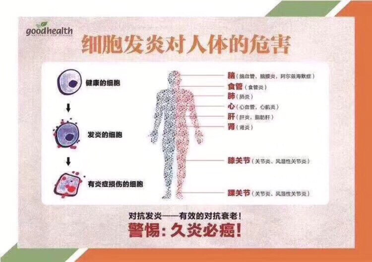 【GoodHealth 姜黄素胶囊】‼️ 姜黄是天然的食品，