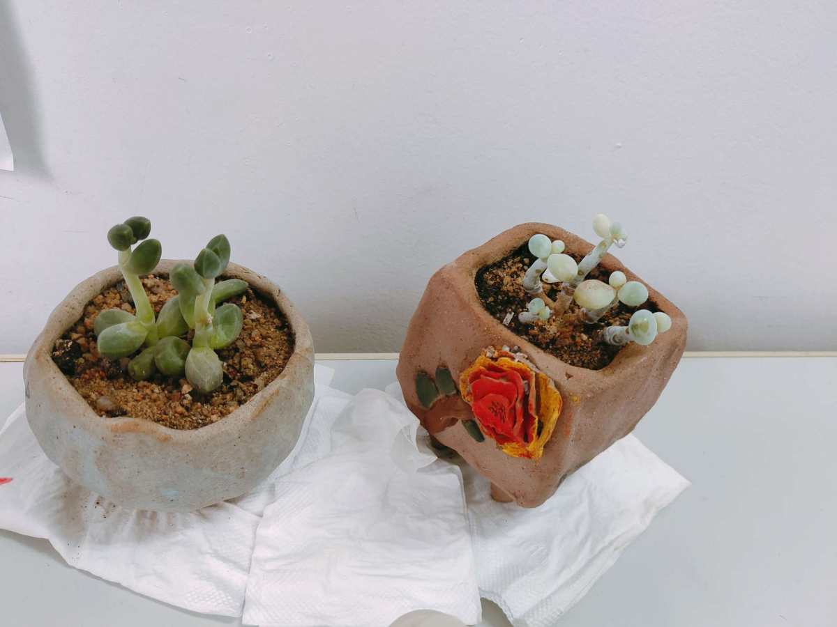 🌻一起来晒办公桌🌻  我的办公桌乱糟糟的，主要是有几个好