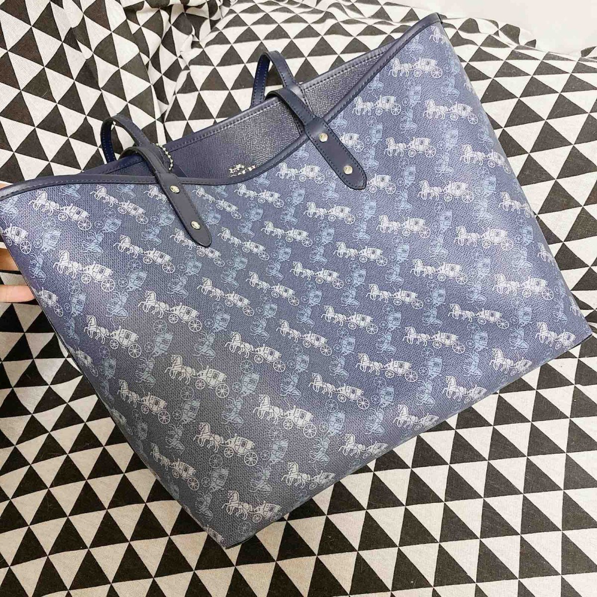 🐴coach马车系列托特包包 🌿在这个托特包以前，我只有