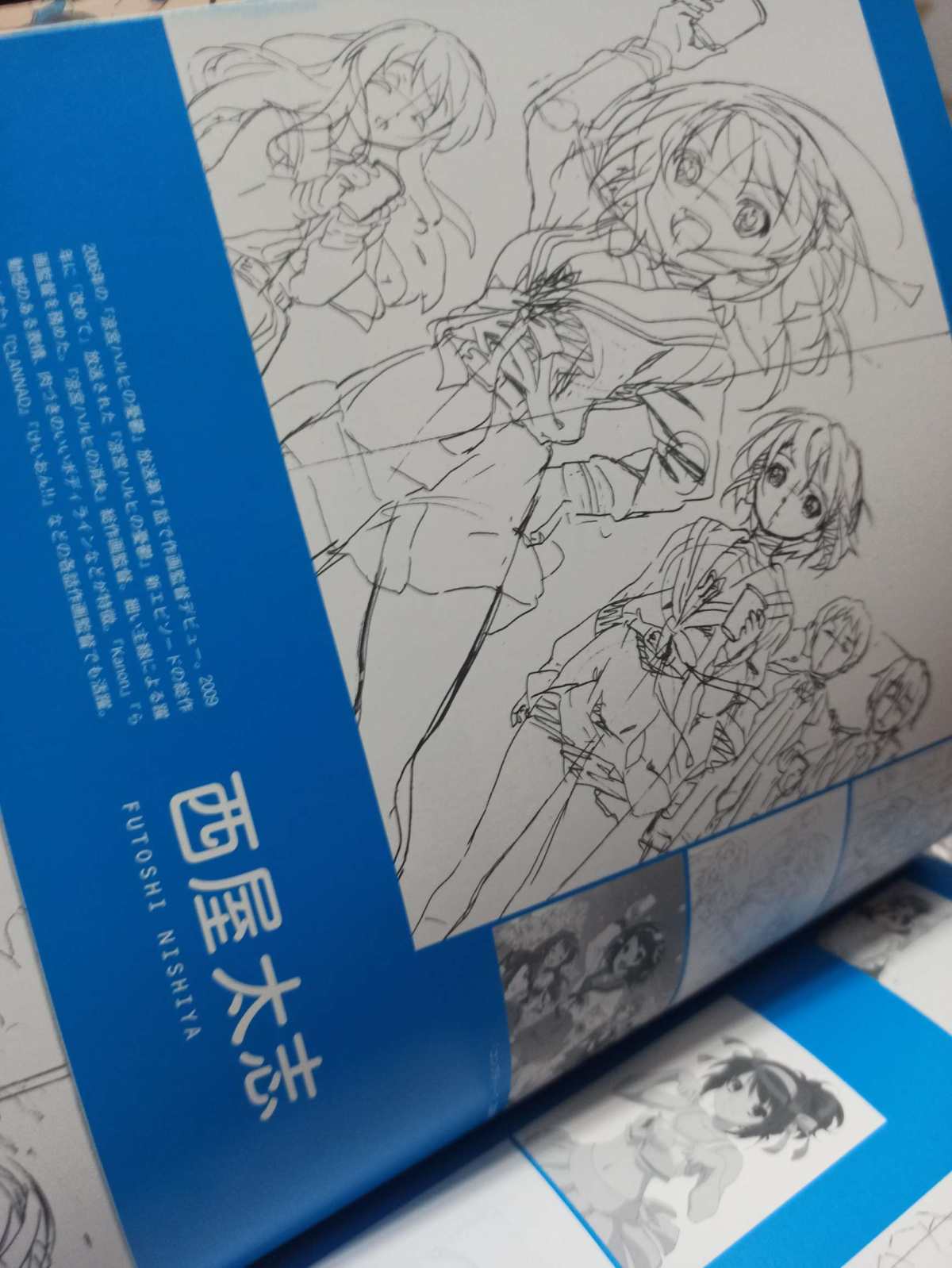 这次分享一下使用JPGOODBUY日本好买发送日本邮政海运的