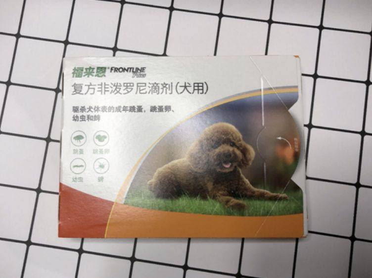 宠物体外驱虫哪种好，选对了就事半功倍!  　　每天早晚遛狗是