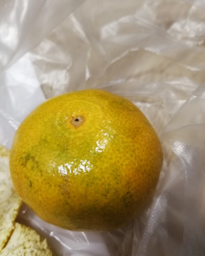 主食当然是菜肉馒头  饭后喝了奶，吃了苹果，再强调一遍，一定
