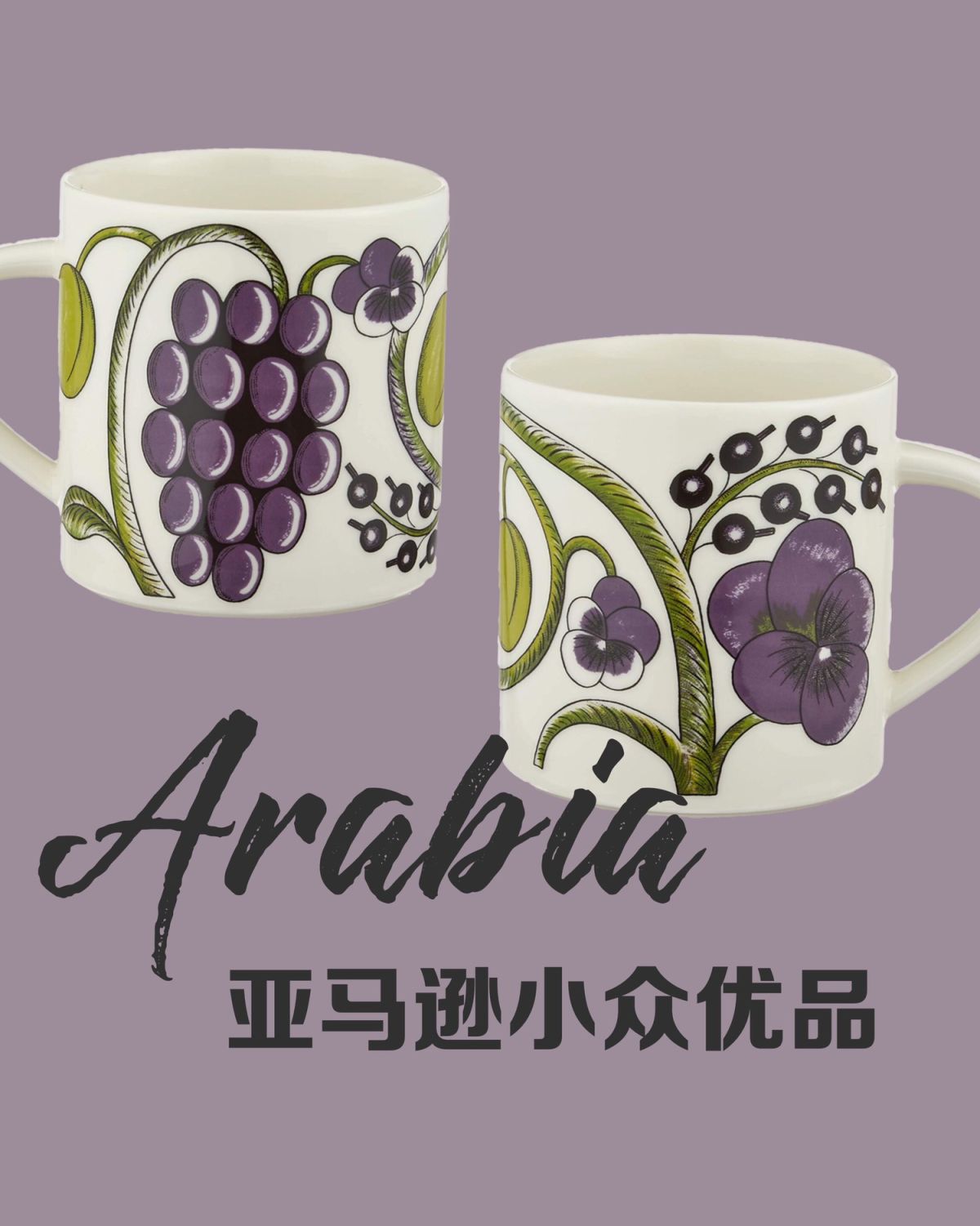 阿拉比亚 Arabia 硕果系列 马克杯 以陶瓷出名的芬兰品