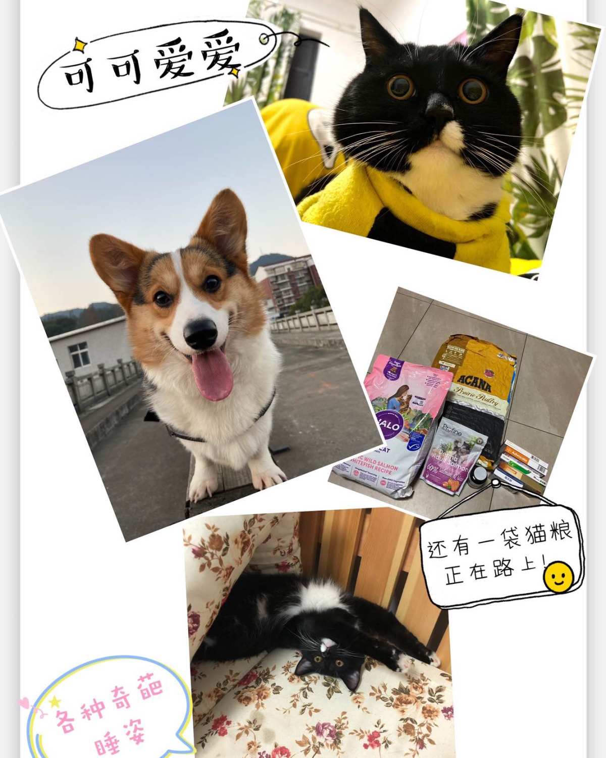 🙋‍♀️新入坑的小白一枚第一篇口水日记     为啥海淘？
