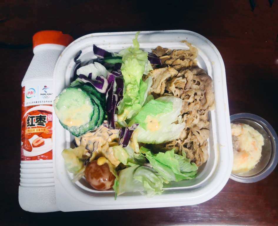 🌟秋膘大作战 🥗今天dandan吃的吃吉野家的牛肉饭、蔬