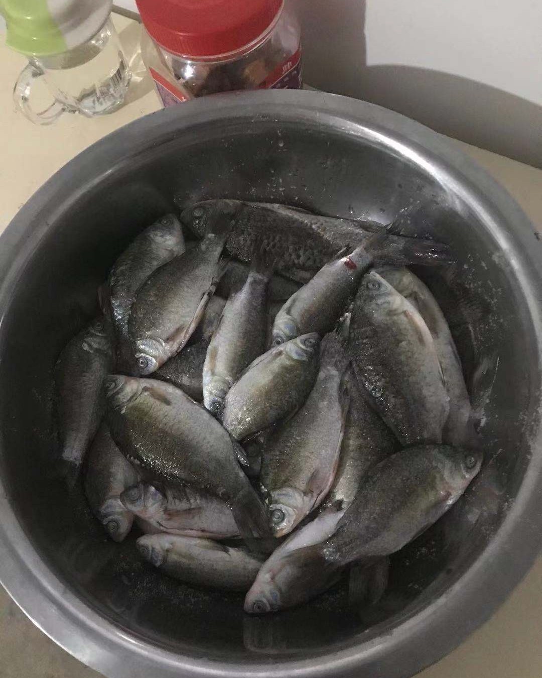 DAY11 😜😜😜不知道钓🐟算不算运动，🙃🙃如果