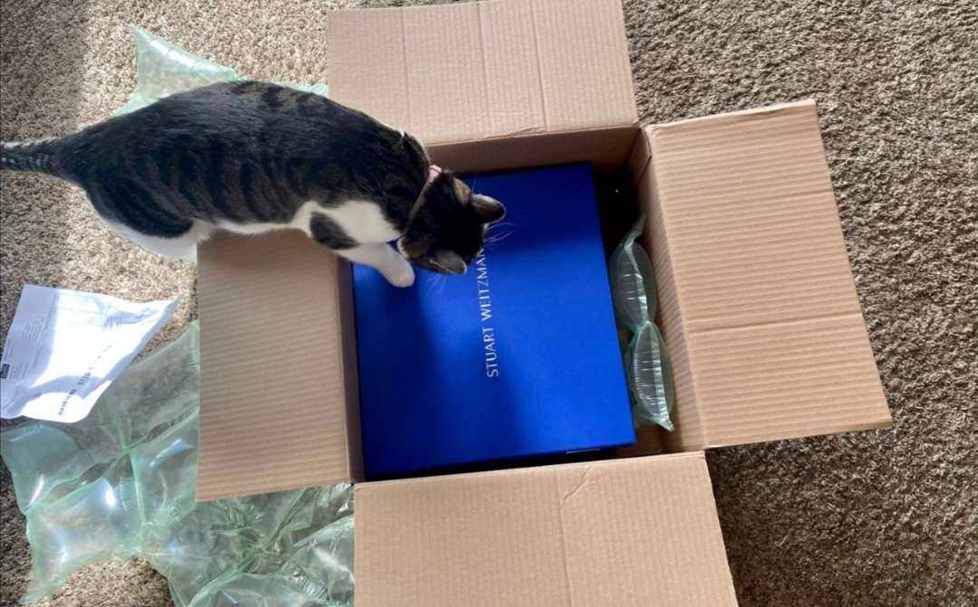 😎变身腿精不是梦😎SW过膝靴 Genna   Stuar