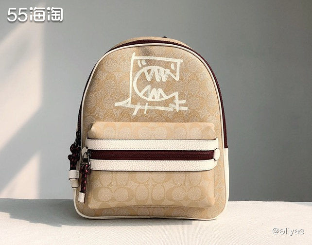 种草蔻驰奥莱涂鸦双肩包，售价700左右！  👝在美国很大白