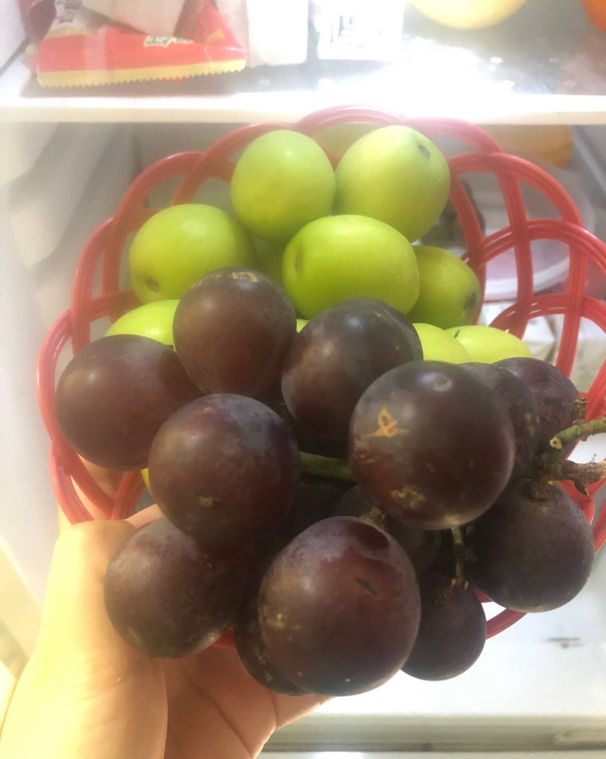 Day12  今天去买了水果，买了石榴，冬枣，葡萄，火龙果，
