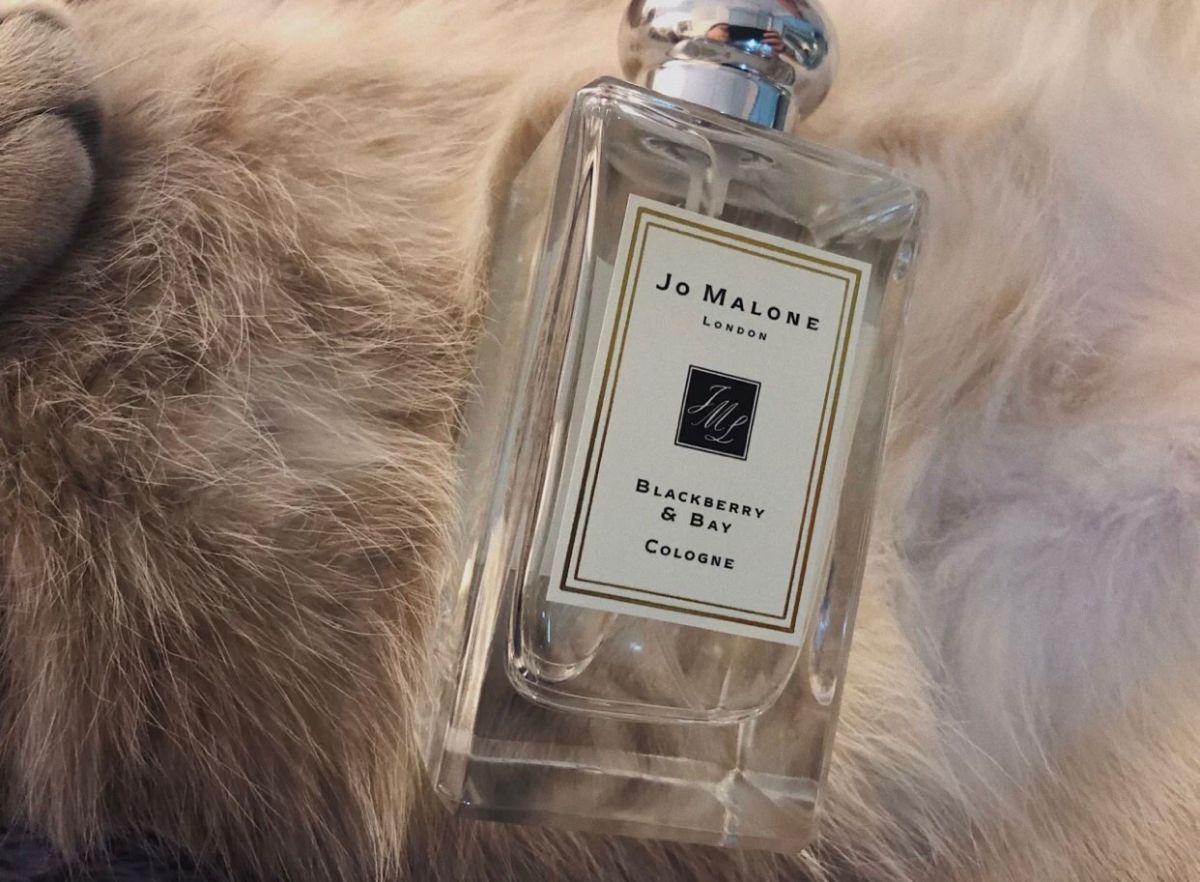 Jo Malone - 祖玛珑黑莓与月桂叶 💡香水灵感来源