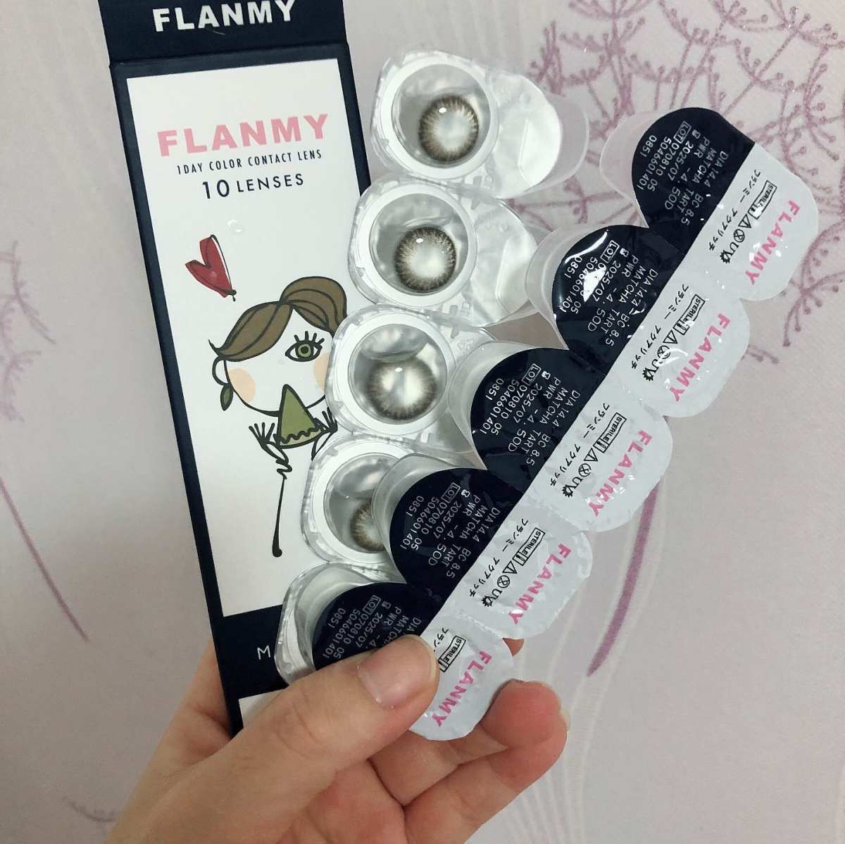 🎉🎉🎉 灰常灰常感谢视客网提供的奖品——FLANMY日