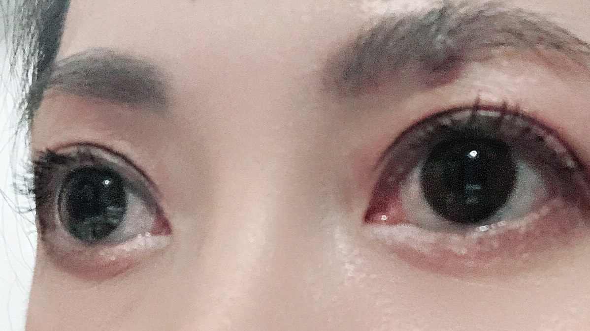 🎉🎉🎉 灰常灰常感谢视客网提供的奖品——FLANMY日