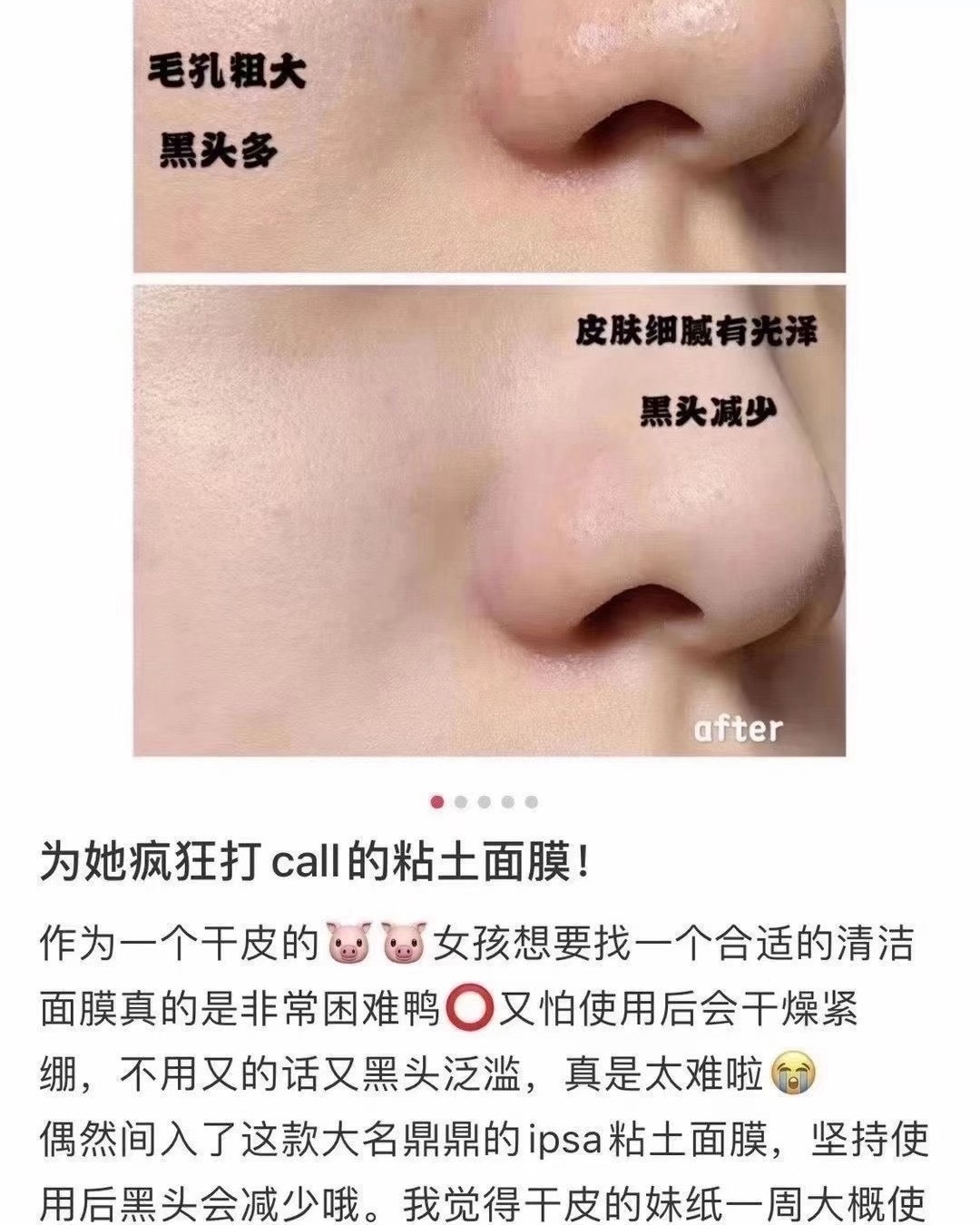 IPSA茵芙莎 粘土面膜100g 最温和的清洁面膜，夏天特别