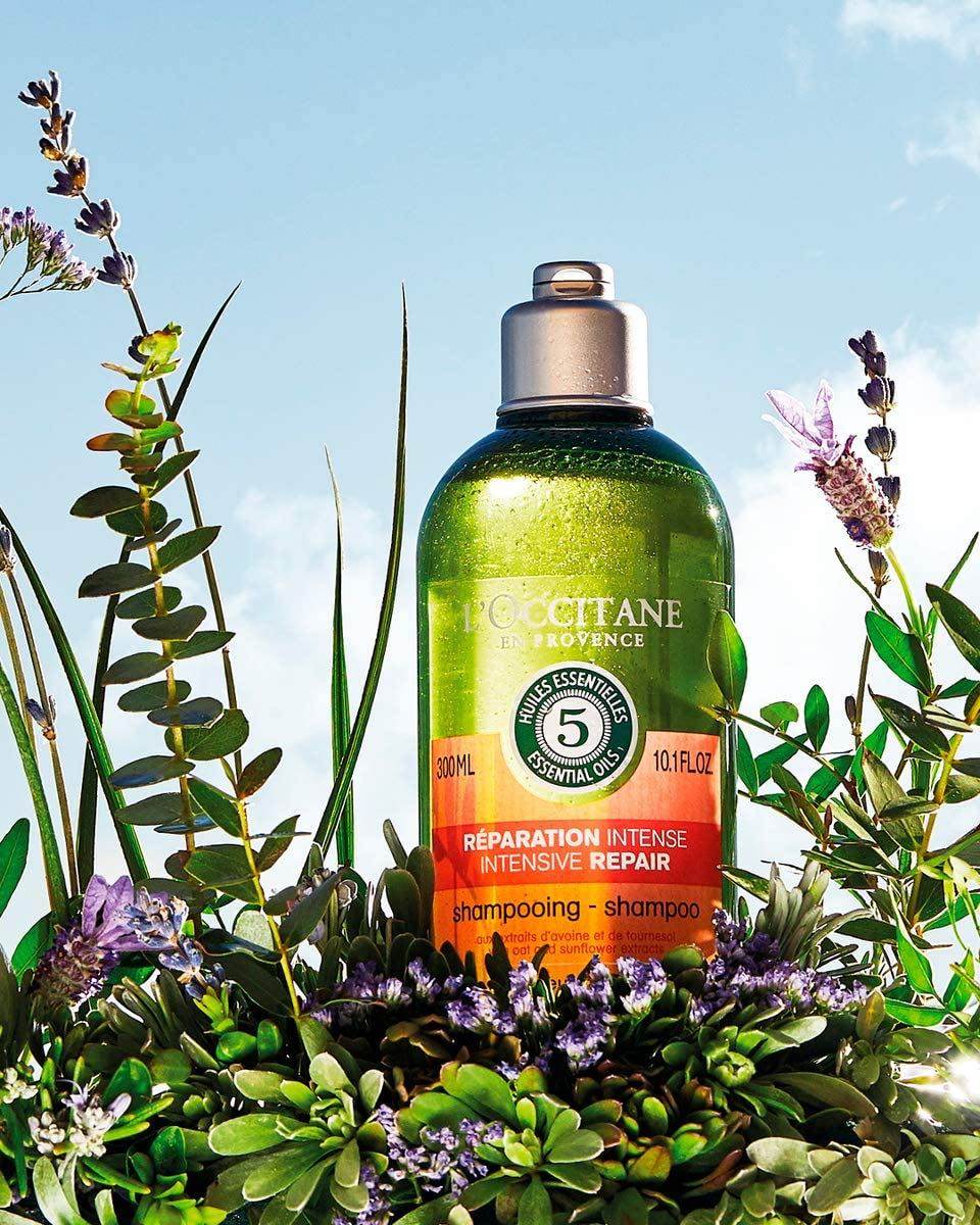 欧舒丹草本洗发水好用