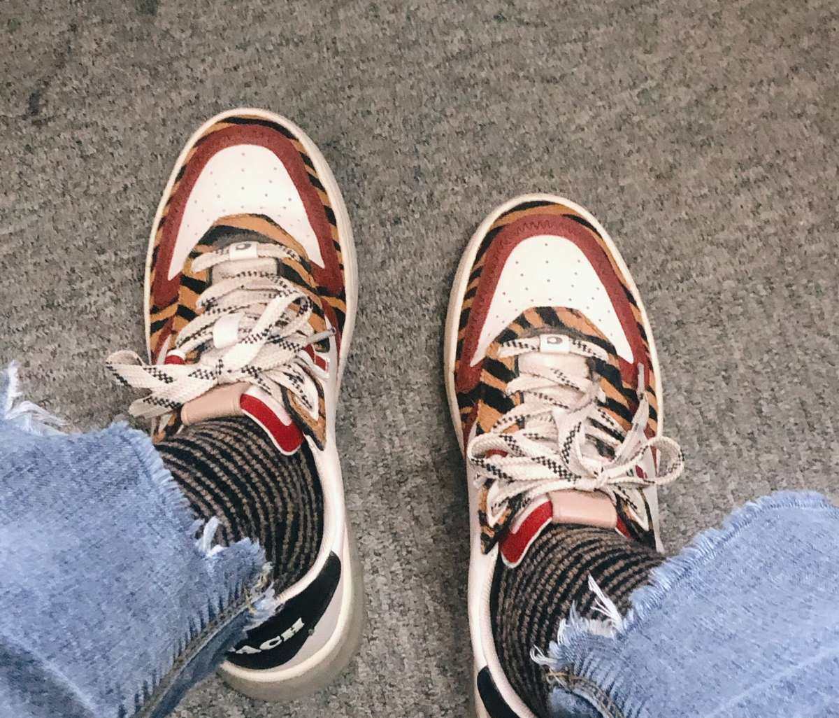 今天分享个神奇的经历！❗ Coach板鞋是今年7月份下单的！