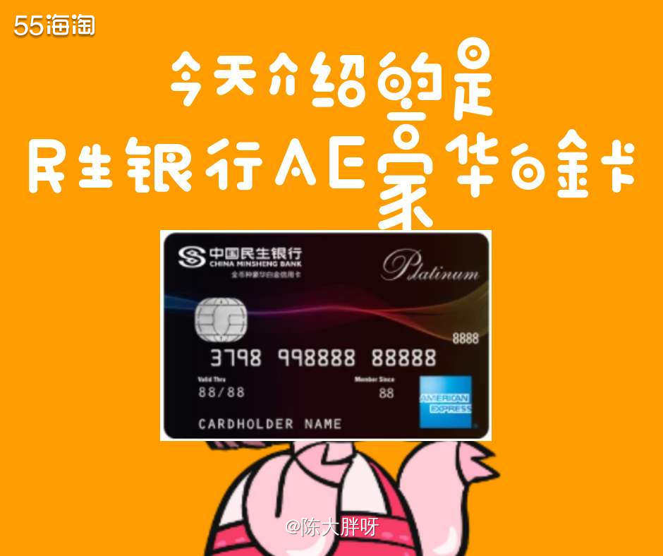 🌸美国运通卡我~民生银行AE豪华白金卡  🌼民生银行全币