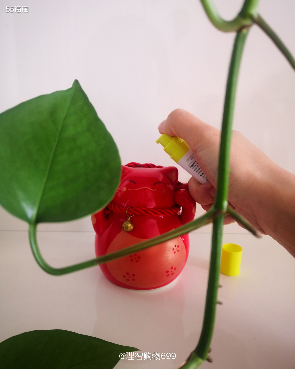 有点小失望的空瓶！醉象马鲁拉油  一、购买渠道 美国官网、丝