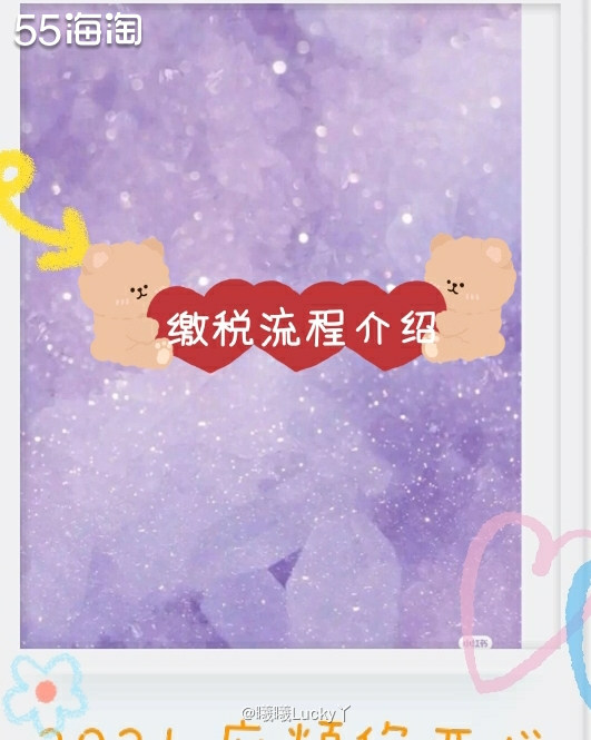 海淘经验盒子✔ 缴税过程  ♛购买直邮中国的网站，难免会遇到