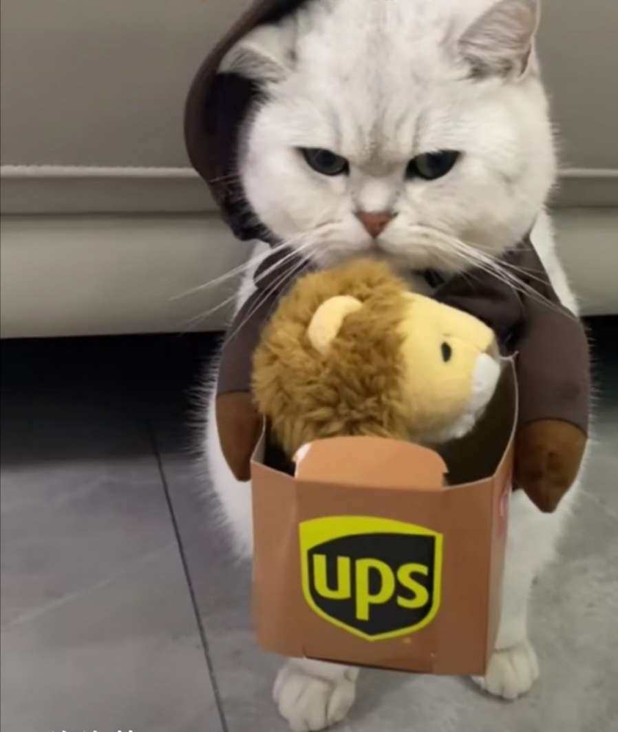 🌟谁签收了我的快递？包裹没入库怎么办？ 很多姐妹都遇到过快