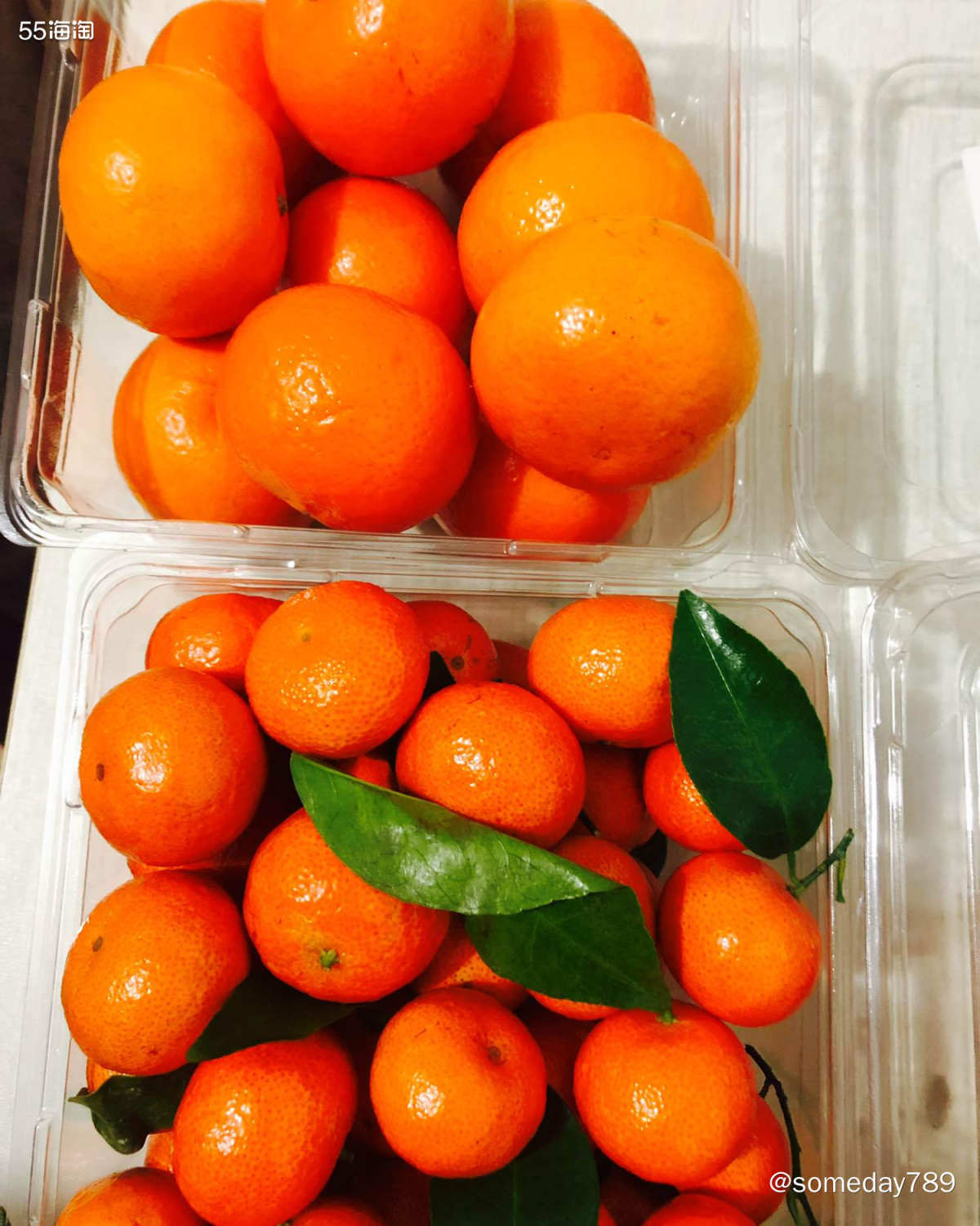 #春节年货清单#✨🌟 柑橘🍊类水果  春节在中国刚好是冬