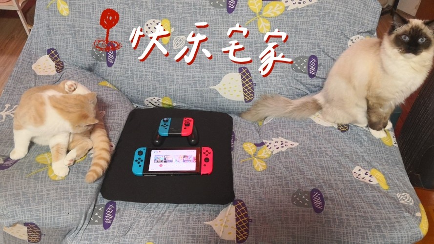 宅家好物大！ 【两猫，两人，     美食，美酒，     