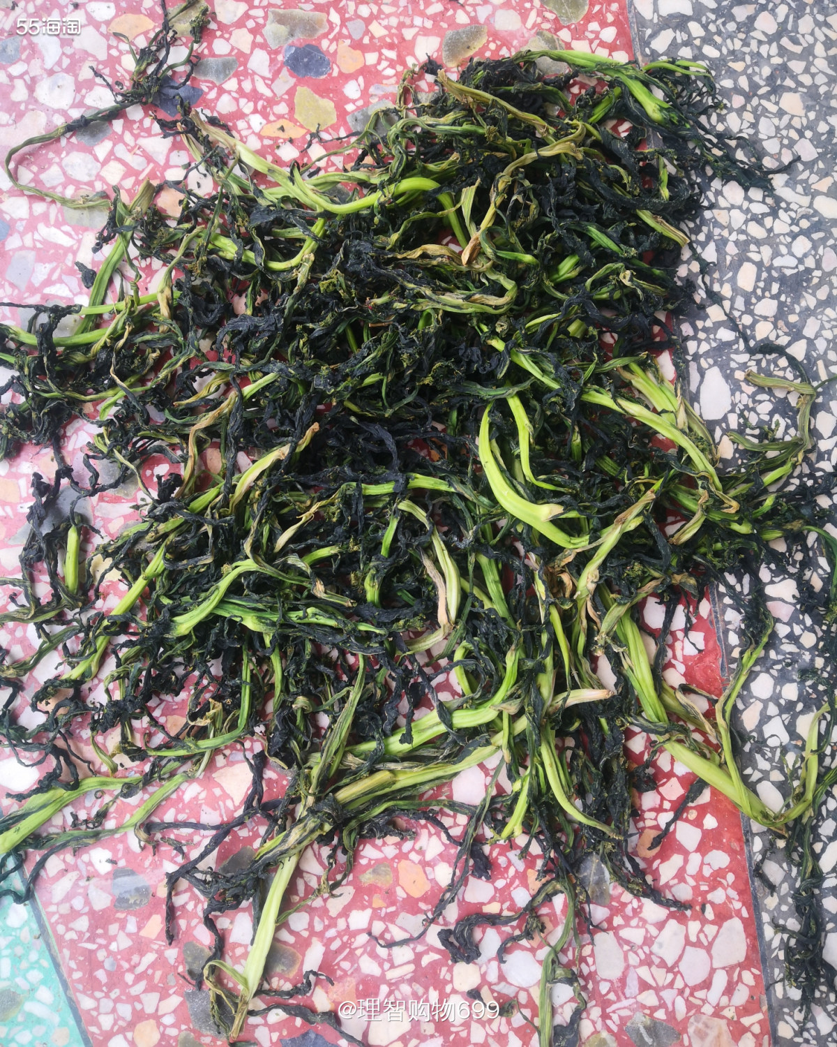 宅家不无聊！蔬菜大丰收  🏷👉🏻这个春节温度特别高，于