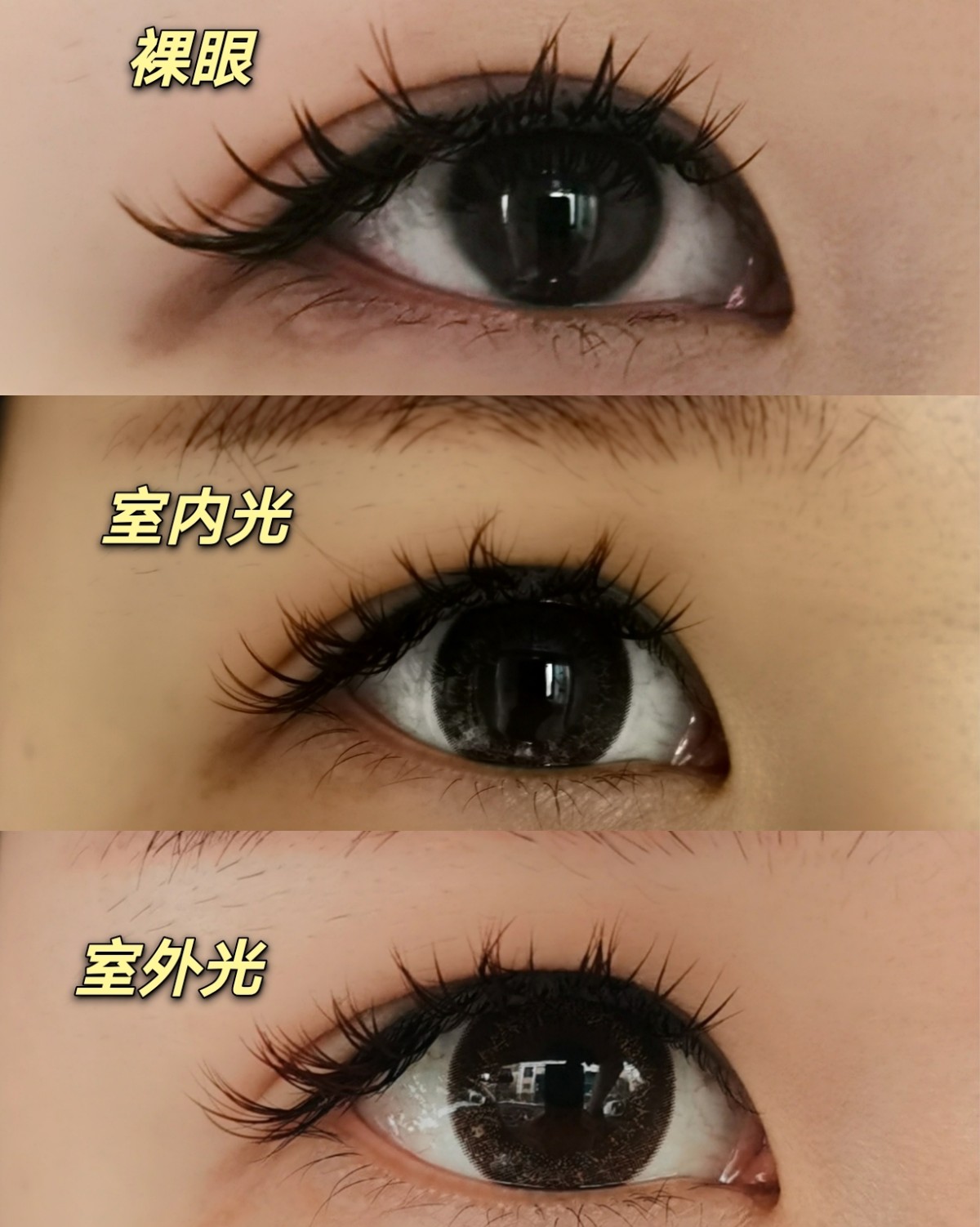 分享美瞳 neo sight ciel UV日抛 荧光金棕 
