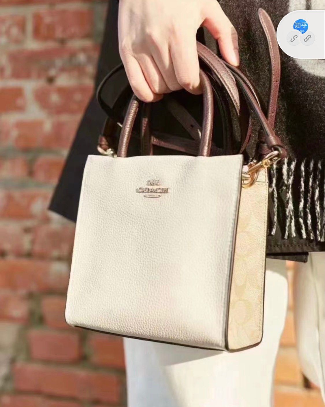 coach mini cally 纸袋包   一月份奥莱一上