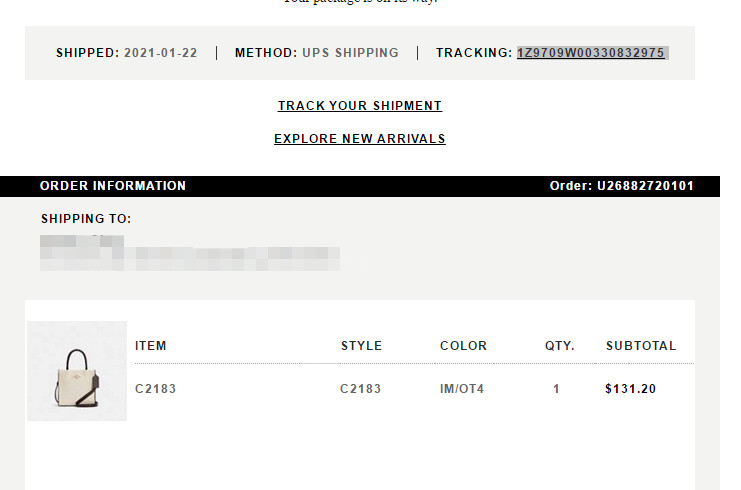 coach mini cally 纸袋包   一月份奥莱一上