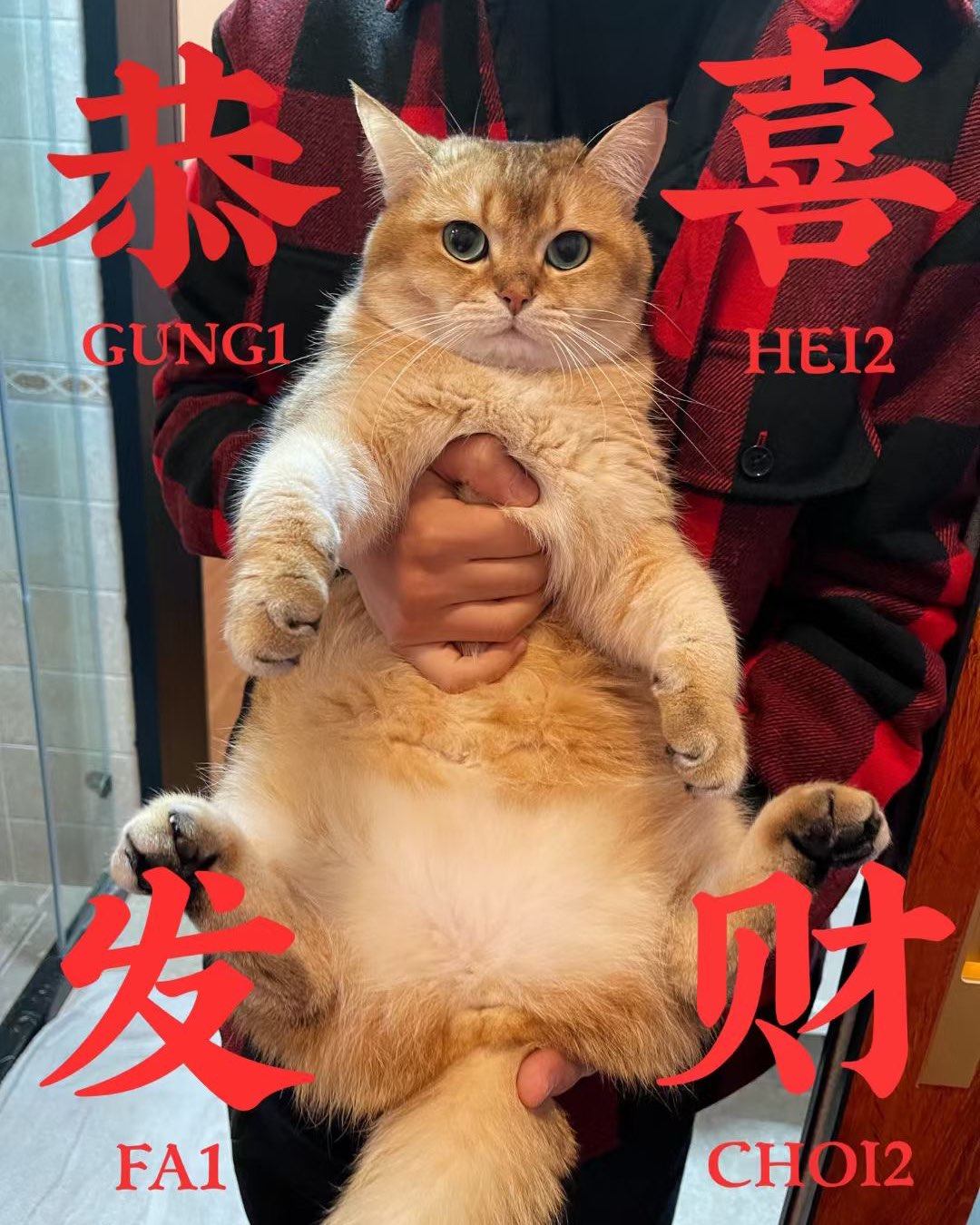 我家年夜饭#  新年的重头戏，必然是年三十的年夜饭啦 厨房里
