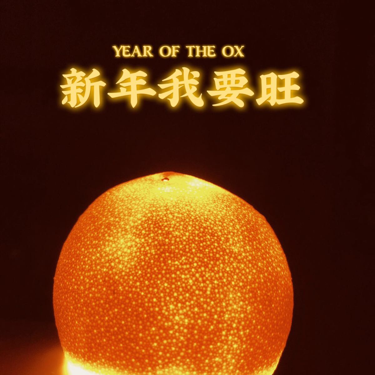 #我家年夜饭#  坐标：浙江 忙忙碌碌3小时的成果，其实每年